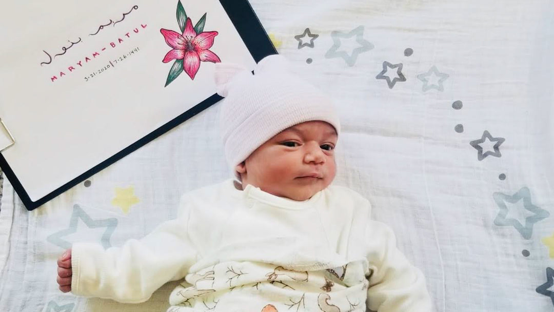 A Lost and Founded Story